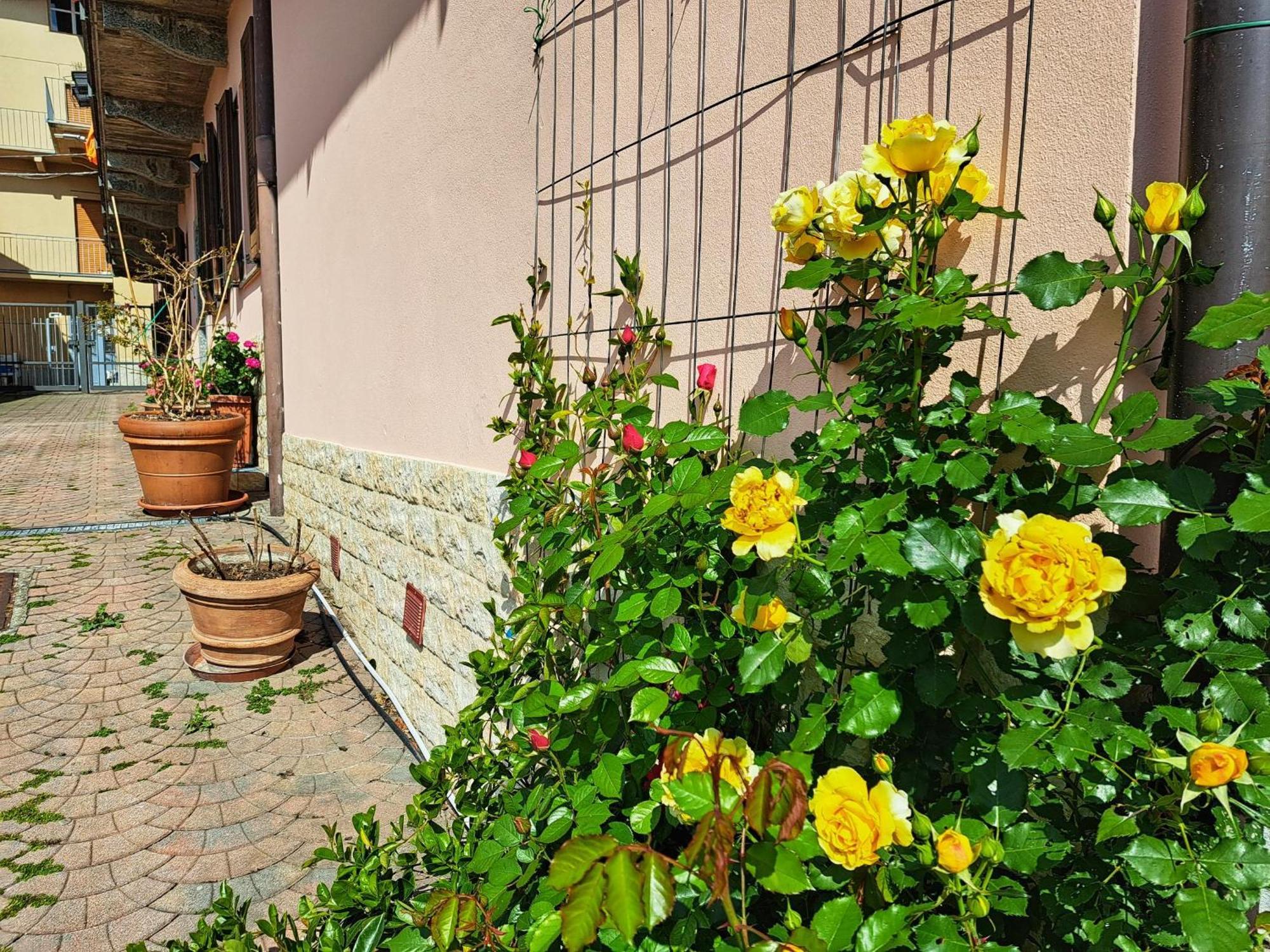 Pescate Le Rose Sul Lago מראה חיצוני תמונה